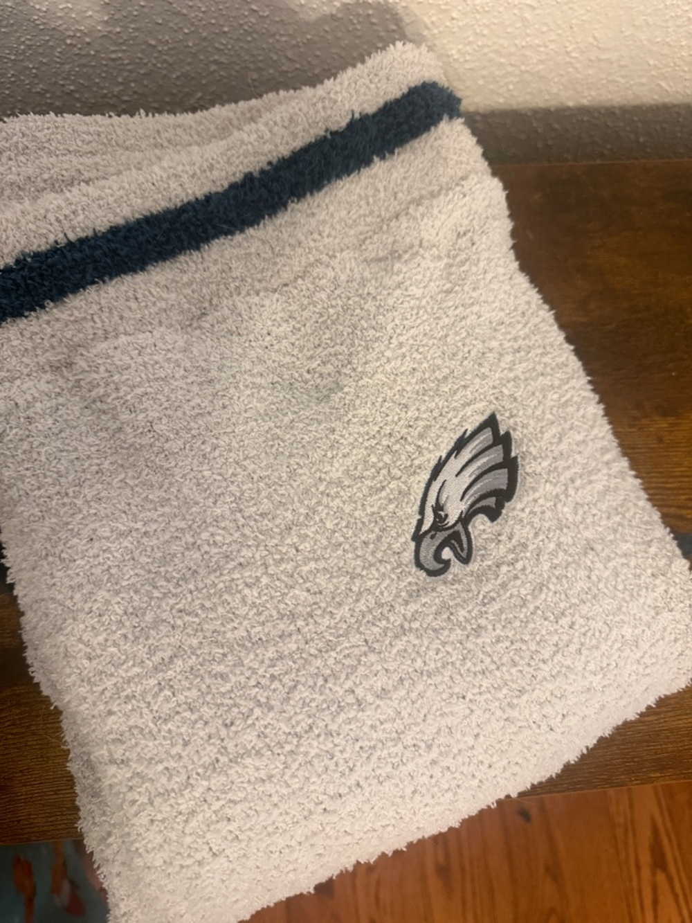 Light Gray NFL Philadelphia Eagles Fuzzy SweatPants - Picture 2 of 4